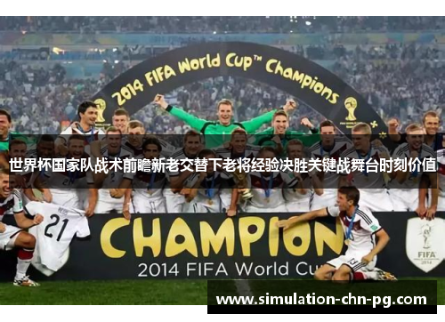 世界杯国家队战术前瞻新老交替下老将经验决胜关键战舞台时刻价值 世界杯国家队战术前瞻新老交替下老将经验决胜关键战舞台时刻价值