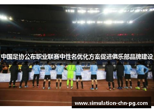 中国足协公布职业联赛中性名优化方案促进俱乐部品牌建设